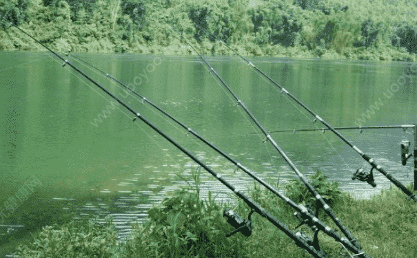 釣青魚餌料配方有哪些？怎么配制魚餌？(1)