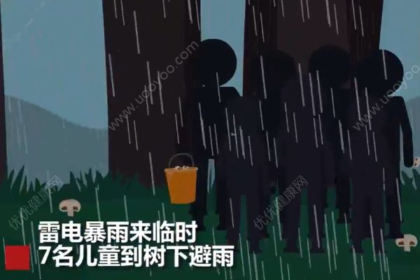 云南7名兒童上山撿菌子，樹下避雨時不幸遭雷擊(1)