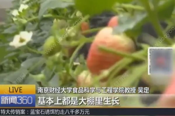 最臟水果排行榜不靠譜，專家：說草莓蘋果農(nóng)殘高沒依據(jù)(2)