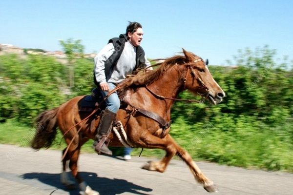 酒駕被查后又騎馬上路，不慎墜馬被摔骨折(3)