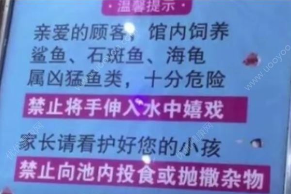 女童被商場鯊魚咬傷致手部骨折，母親：它突然跳起(4)