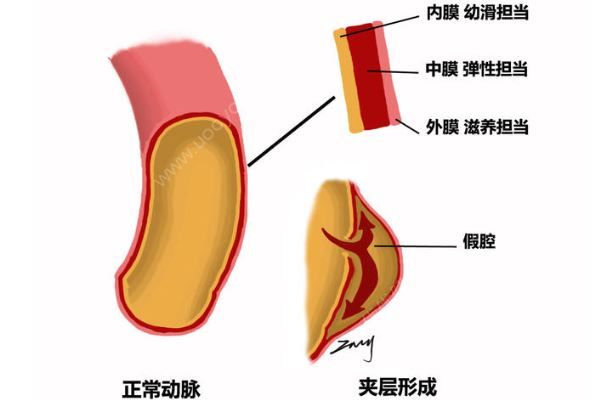 深圳52歲女子突發(fā)腹痛求醫(yī)，7小時(shí)打兩針醫(yī)院身亡(2)