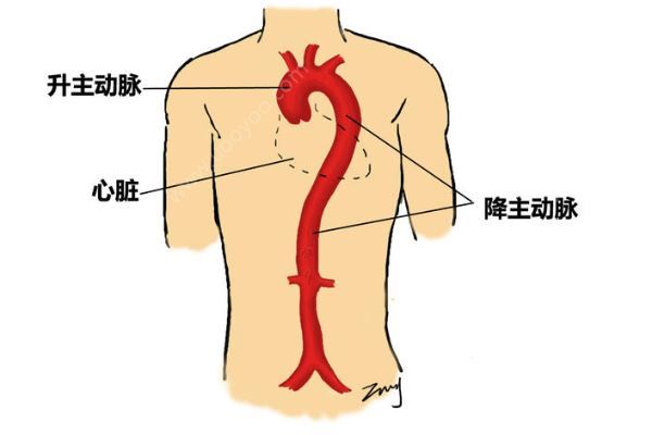 深圳52歲女子突發(fā)腹痛求醫(yī)，7小時(shí)打兩針醫(yī)院身亡(3)