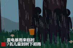 云南7名兒童上山撿菌子，樹下避雨時不幸遭雷擊[多圖]