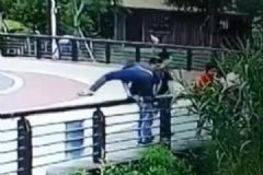 男子逛動(dòng)物園順手掏走8顆鳥蛋，涉嫌盜獵被警方行拘[多圖]