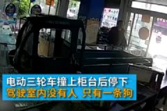 電動(dòng)三輪車突然沖進(jìn)手機(jī)店，“肇事者”卻是條狗[多圖]