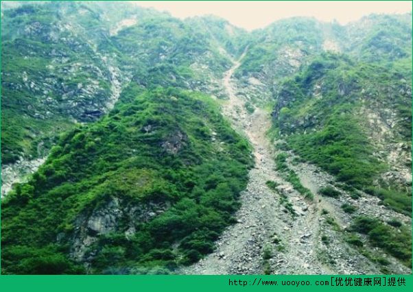 登山時下暴雨怎么辦？登山時如何預(yù)防危險？(3)