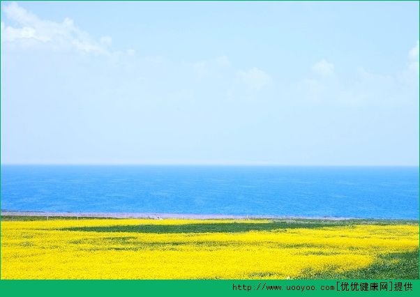 最適合夏季旅游的地方？國內(nèi)夏季旅游景點推薦(5)