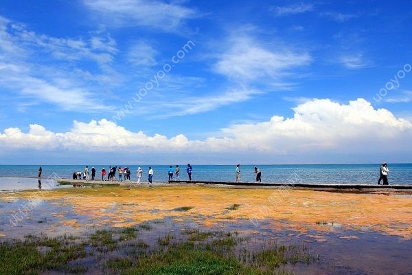 夏天去哪玩比較好？夏天去哪玩涼快？(5)