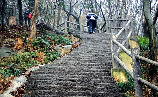 爬山瘦哪里？爬山能減肚子嗎？(1)