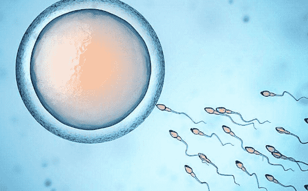 精子存活率低有哪些原因？精子存活率低吃什么好？(1)