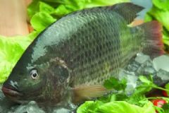 春季多吃魚(yú)有哪些好處？春季軟件吃魚(yú)該怎么挑選？[圖]