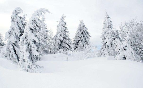 全國多地下雪，白雪皚皚，雪可以直接吃嗎？(2)