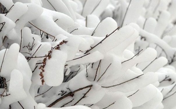 全國多地下雪，白雪皚皚，雪可以直接吃嗎？(3)