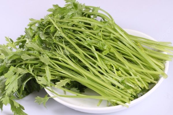 芹菜的家常營(yíng)養(yǎng)吃法有哪些？芹菜的營(yíng)養(yǎng)食譜有哪些？(2)