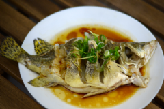 桂魚(yú)的存儲(chǔ)有什么方法？桂魚(yú)的食用方法有什么？[圖]