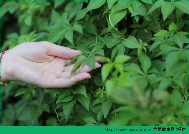 皮膚能整容美白嗎？整容能讓皮膚變白嗎？(4)