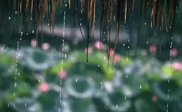 梅雨是什么時候？梅雨季節(jié)是什么時候？(1)