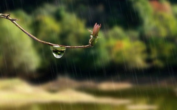 梅雨季節(jié)如何防潮？梅雨季節(jié)房間潮濕怎么辦？(1)