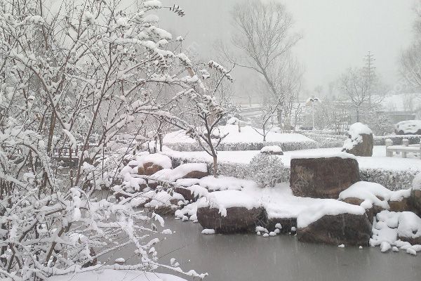 寒潮來了要注意什么？下雪要注意預(yù)防疾病(2)