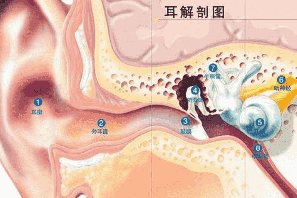 經(jīng)常挖耳屎影響很大！一招解決耳屎煩惱(1)