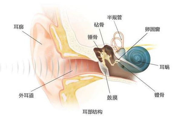 經(jīng)常挖耳屎影響很大！一招解決耳屎煩惱(2)