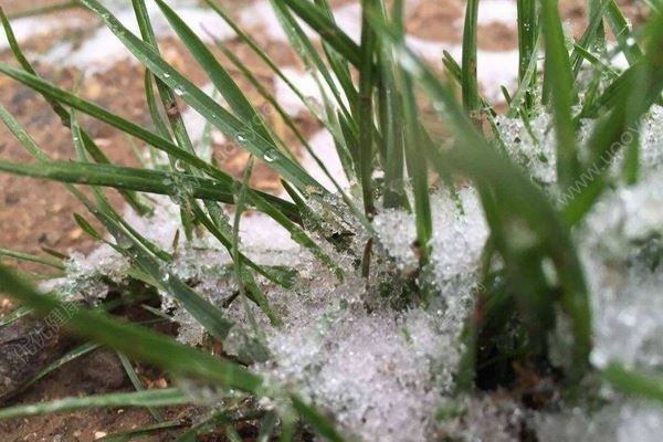 中央氣象臺又發(fā)布藍(lán)色暴雪預(yù)警，倒春寒要來了嗎？(4)