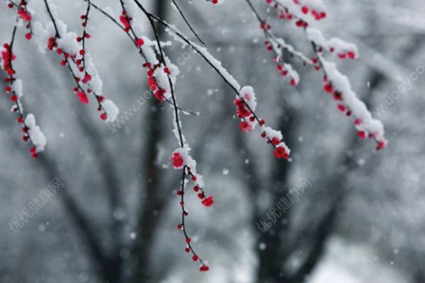 北京發(fā)布暴雪預(yù)警，30年來首次四月飛雪(4)