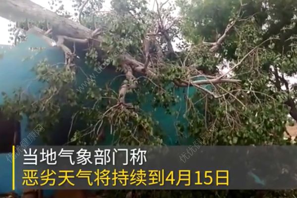 印度暴雨泰姬陵遭嚴重毀壞！已造成至少12人死亡！(4)