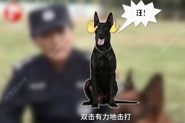 惡犬撲咬無路逃！下一步你該咋辦？(2)