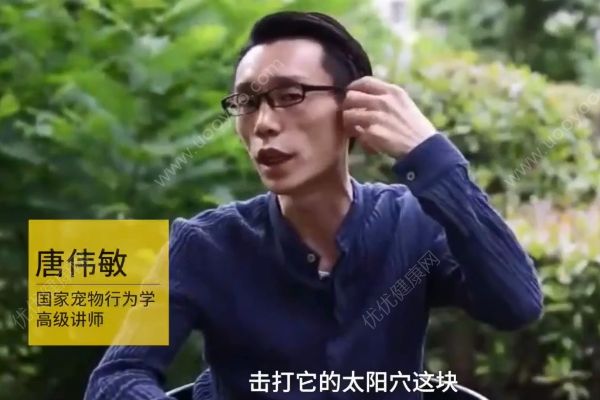 惡犬撲咬無路逃！下一步你該咋辦？(3)