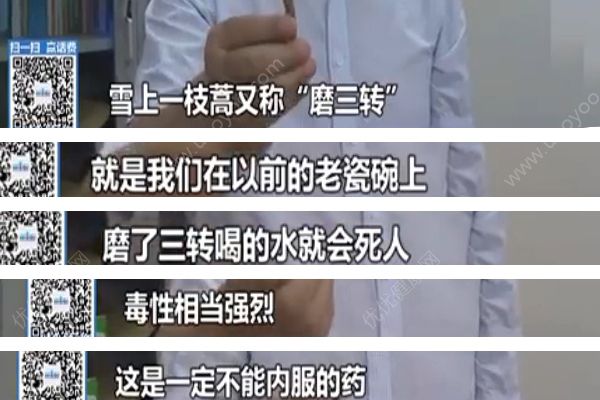 重慶“飲自配藥酒中毒事件”原因查明，藥酒內含劇毒中藥！(4)