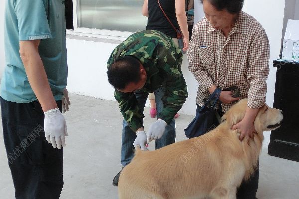 河北邯鄲兩男童遭小區(qū)內(nèi)惡犬襲擊，致身體多處被咬傷(4)