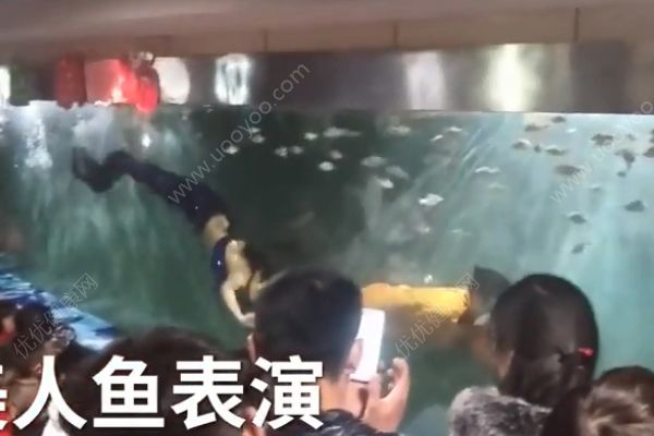 女孩海洋館扮美人魚！冬天長時間泡在水里有何危害？(1)