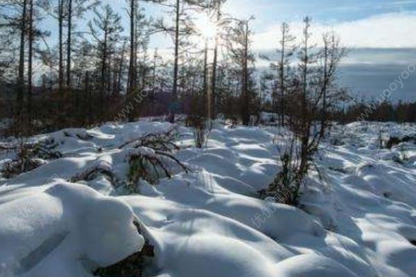 奇觀！北京停車場現(xiàn)近千個“雪饅頭” 網(wǎng)友：這是人擺的吧？(3)