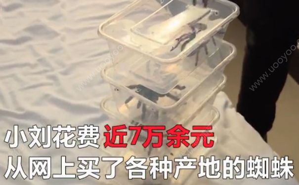 電熱毯燒死寵物 如何防止電熱毯短路？(1)