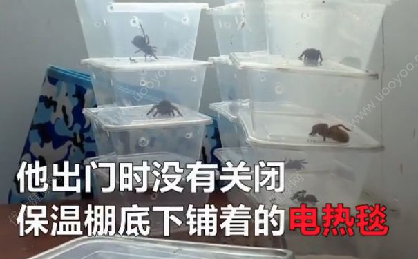 電熱毯燒死寵物 如何防止電熱毯短路？(3)