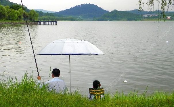 下雨天有魚釣嗎？夏季大雨天釣魚好嗎？(2)