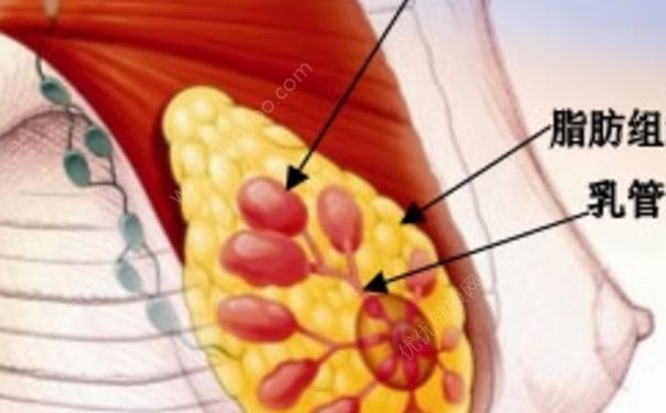 乳安片的功效與作用 乳安片治乳腺增生好嗎？(1)