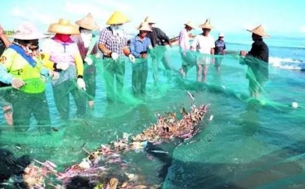 中國90%近海已無魚可捕，咸水魚和淡水魚有什么區(qū)別？(3)