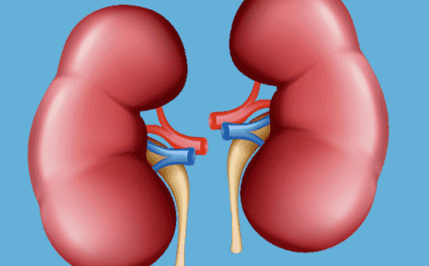 如何判斷腎好不好？腎病的信號是什么？(1)