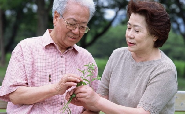 中老年人消化不好怎么辦？消化不好的調(diào)理方法有哪些？(1)