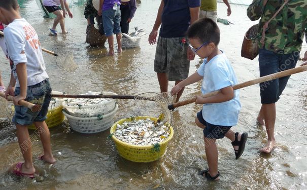 洪水里的魚(yú)能吃嗎？洪水里的魚(yú)可不可以吃？(2)