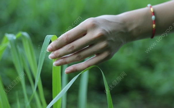 手上長小疙瘩是怎么回事？手上長小疙瘩是為什么？(3)