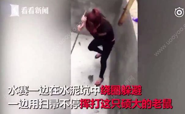 女子遭大老鼠攻擊追咬，怎么趕都趕不走(2)