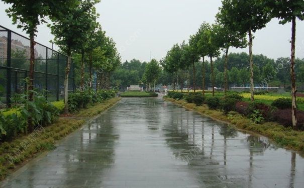 淋雨為什么會感冒？淋雨后怎么預(yù)防感冒？(1)