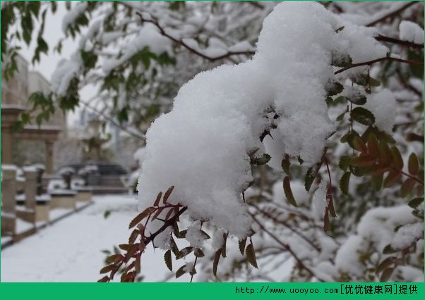 大雪節(jié)氣 記得防寒保暖和軟件(1)