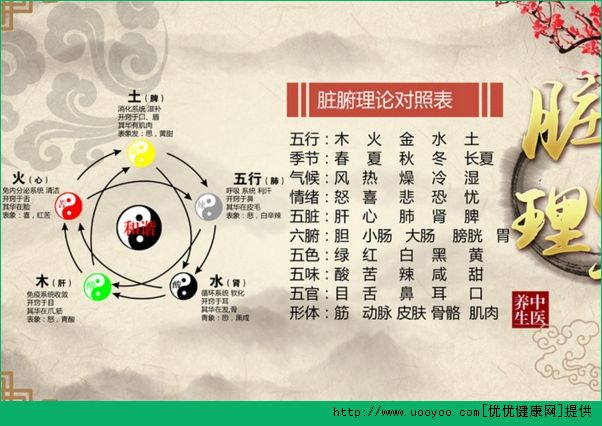 五行和五臟的關(guān)系是什么？五臟對應(yīng)的五行介紹(3)