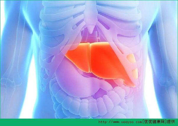 肝臟如何保養(yǎng)？教你生活中的保健方法(1)