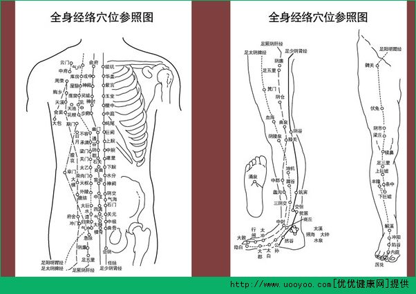 經(jīng)絡(luò)穴位怎么背？速記經(jīng)絡(luò)穴位方法(2)